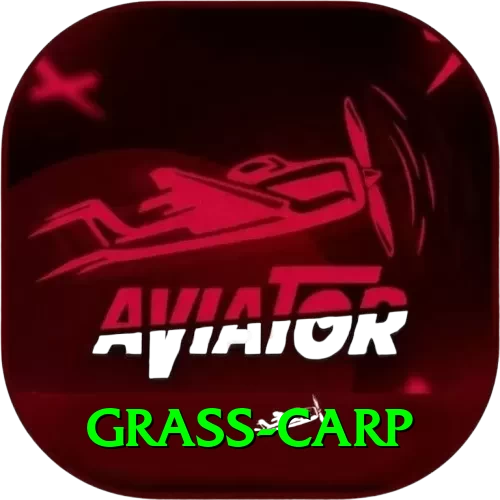 grass carp Pakistan Master v1.0.3 - 2