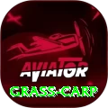 grass carp Pakistan Master v1.0.3