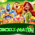 india cricket match Pakistan Royal v2.3.1