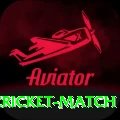 india newzealand cricket match Turbo PK v3.4.7