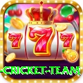 new zealand cricket team King - Daily Bonus