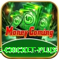 online cricket Money King v3.2.5