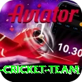 pakistan women cricket team Pakistan Turbo v4.9.8