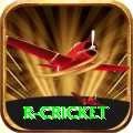 r cricket Games Extreme