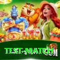 test match Pro v5.8.0