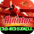 world t20 schedule - Pro Earning App