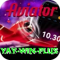 Yay Win Pro Max v3.5.0